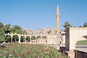 Urfa, Halil Ur Rahman Mosque